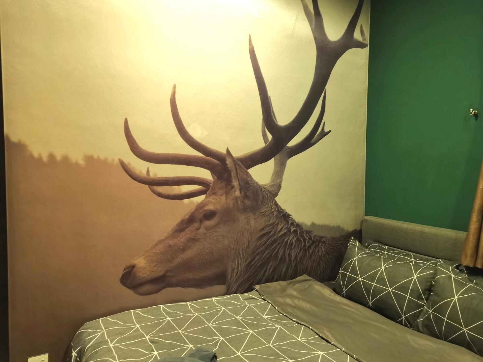 Cozy Forest Themed Homestay 4 Bedroom Kuala Lumpur Eksteriør billede